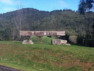 Subdivison Entranceway